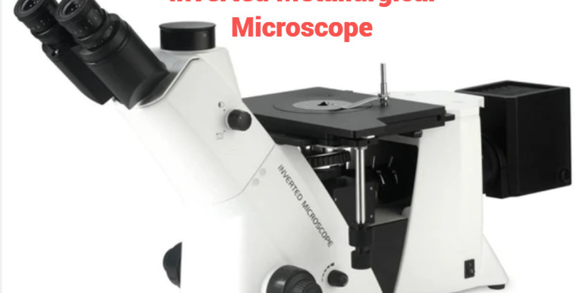 Structure of a Metallurgical Microscope and the Individual Roles That Each Component Plays