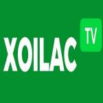 Xoilac TV Profile Picture