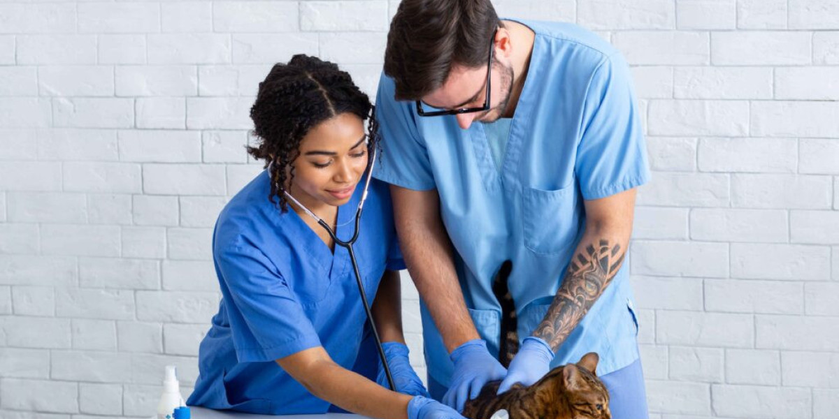 The Role of an Emergency Veterinarian Service in Pet Toxicity Treatment