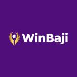 Winbaji Games Profile Picture