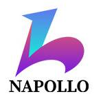 Napollo Software profile picture