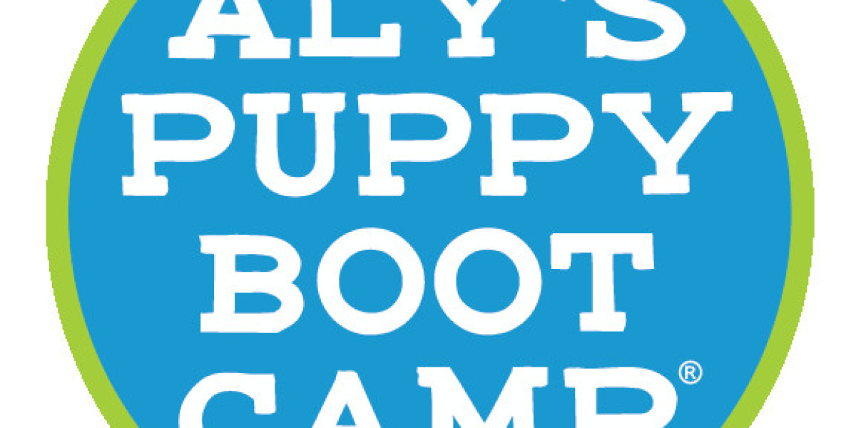 Why In-Person Dog Training Might Be the Breakthrough You and Your Dog Need