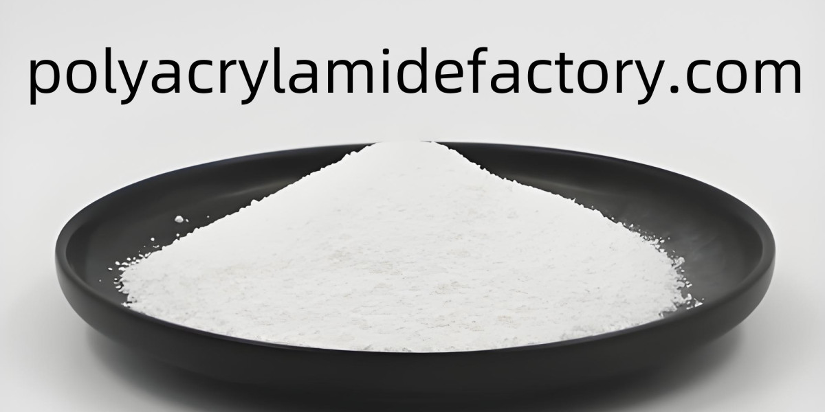 High-Speed Success Starts with Polyacrylamidefactory Solutions