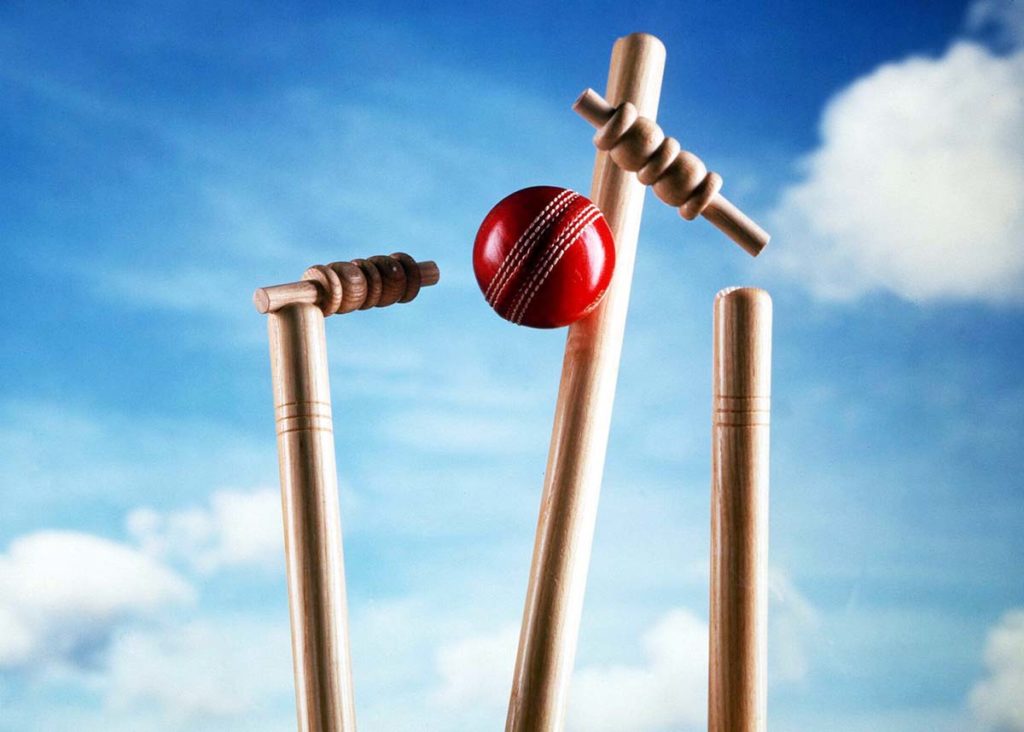 Wolf777: Trusted Live Line Apps for Cricket Gaming - CQC Investigations