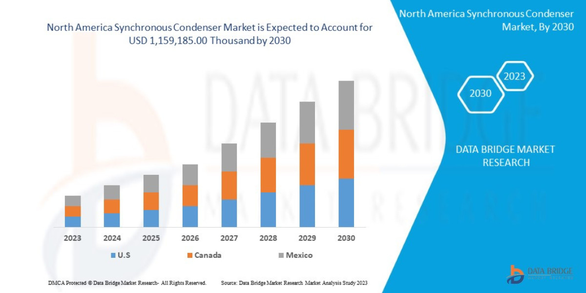 North America Synchronous Condenser Market Challenges: Growth, Share, Value, Size, and Insights