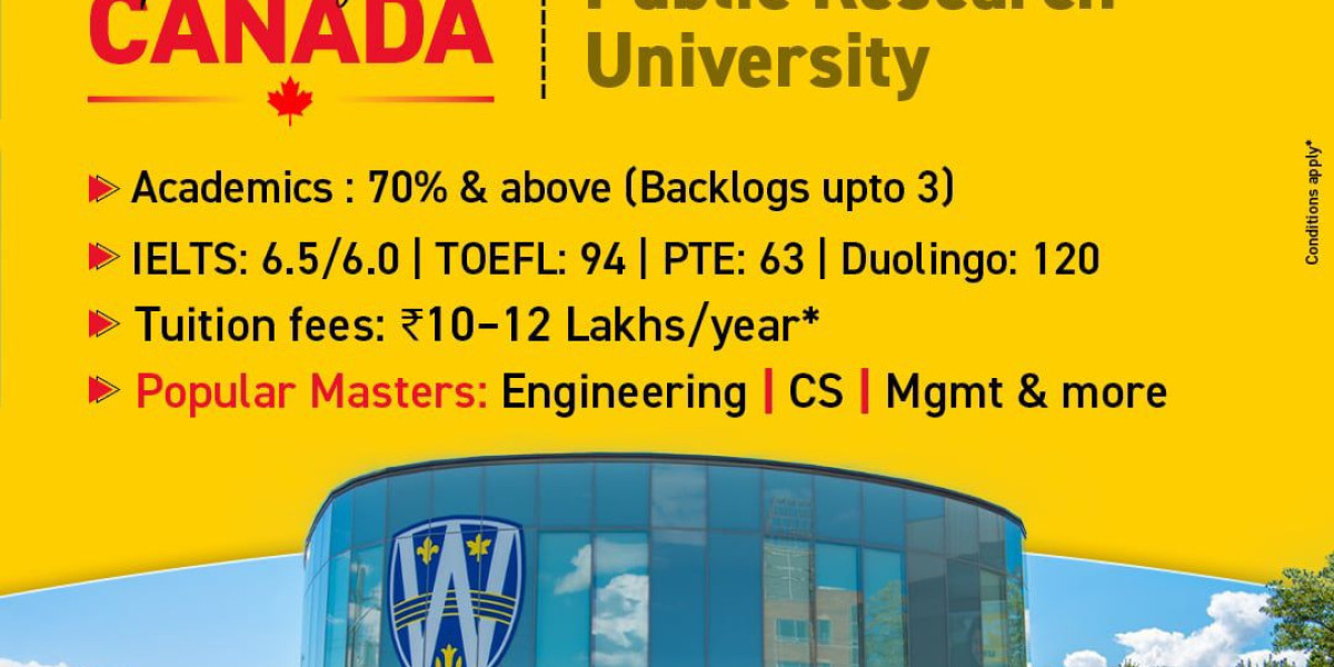 University of Windsor scholarships