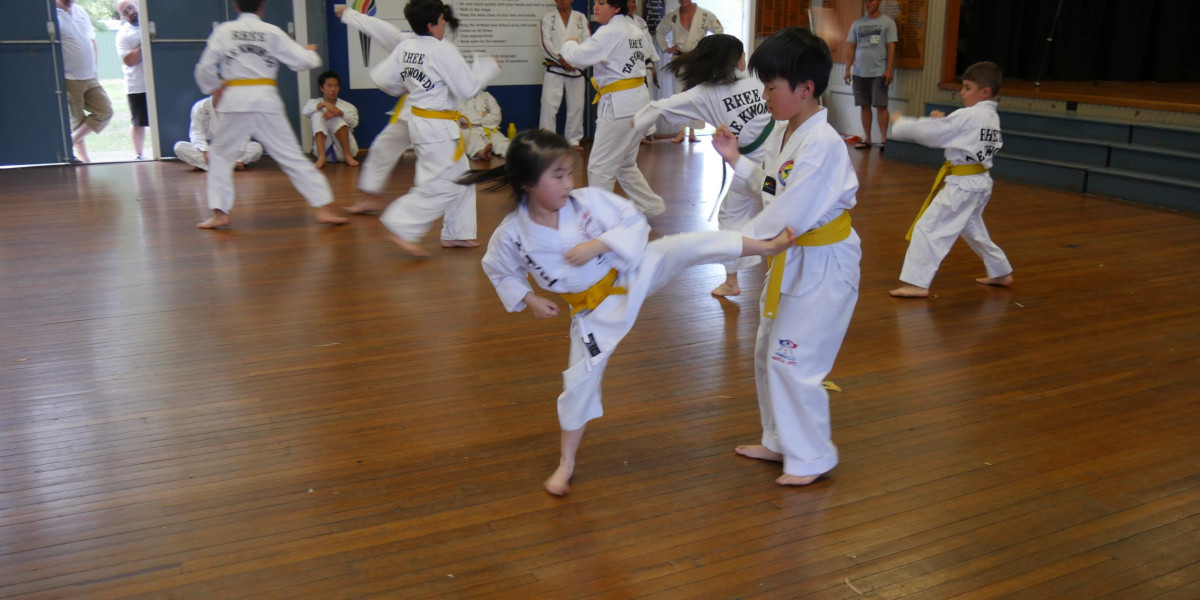 Taekwondo Centre Near Me: Quality Martial Arts Training for All Ages in Condell Park