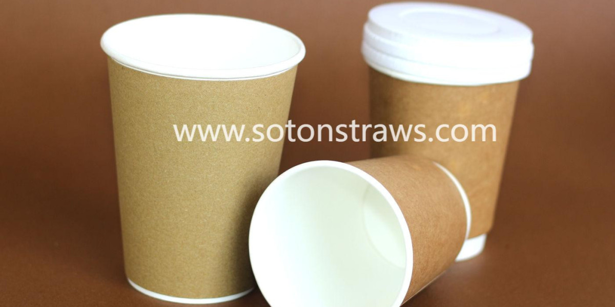 Soton Straws Disposable Cups for Office & Events