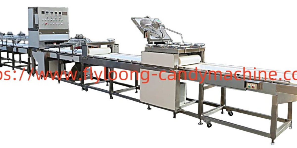 Comprehensive Support Services by Flyloong-Candymachine Candy Machine Factory
