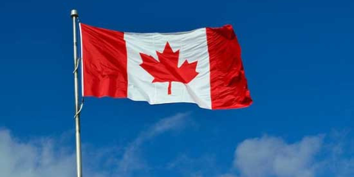 PNP Immigration Help Brampton