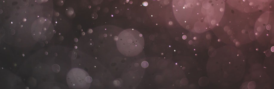 lizette04y8922 Cover Image
